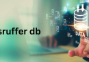 SRUFFER DB: A Helpful Guide for Better Data Management and Online Performance